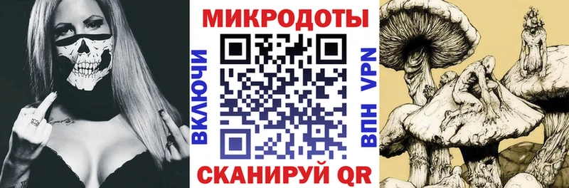 Галлюциногенные грибы Psilocybine cubensis  Новая Усмань 