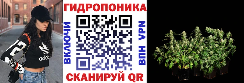 Конопля план  Новая Усмань 